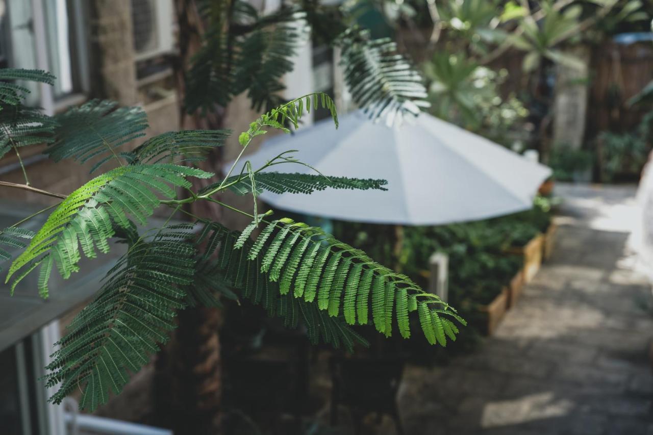 No'6 Garden --french Window With Garden View,close To Sea World &shekou Ferry Port &k11 Ecoast &subway Nearby ,offer Western Food And Coffee &english Speaking With Tour Services