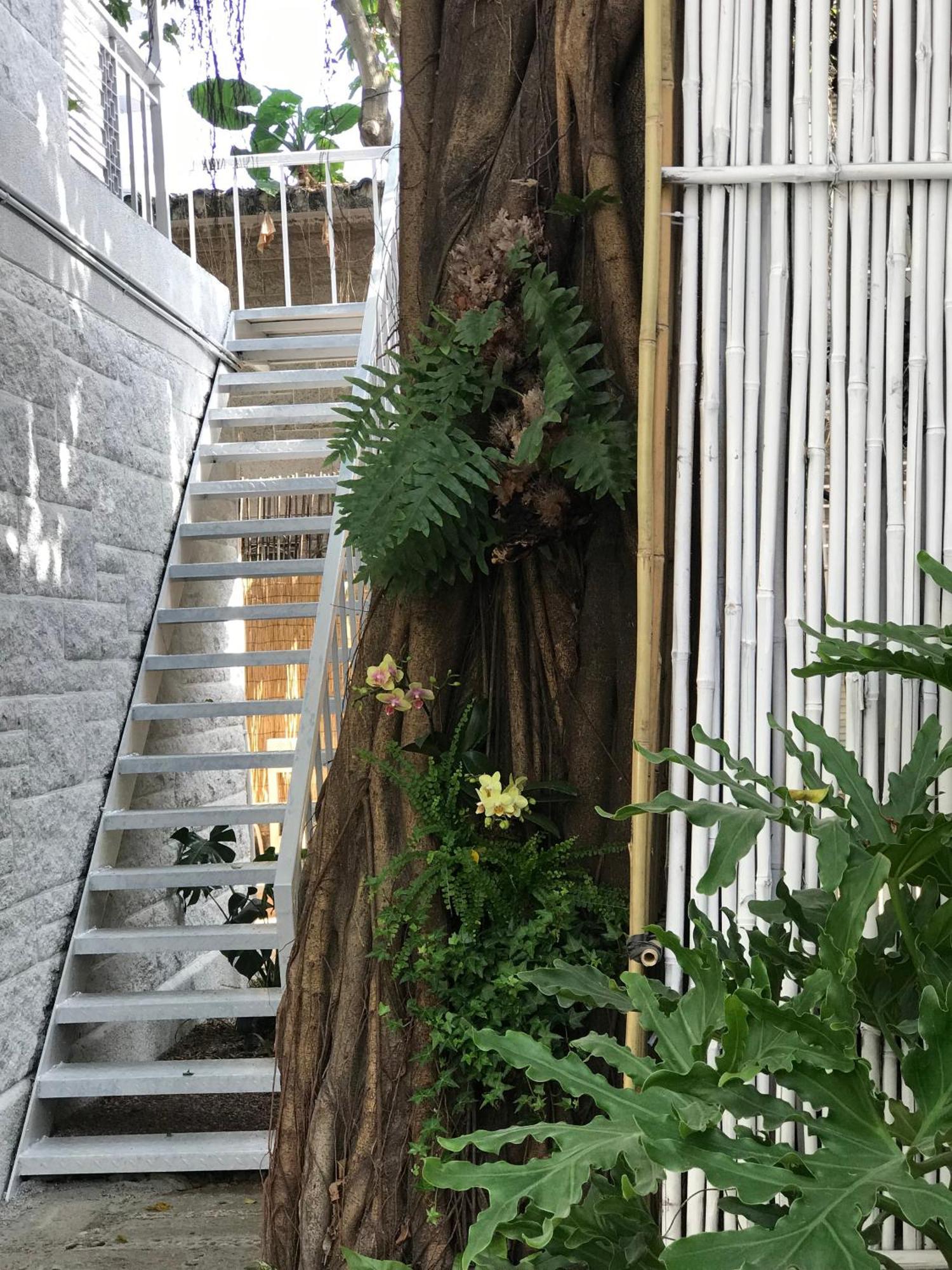 No'6 Garden --french Window With Garden View,close To Sea World &shekou Ferry Port &k11 Ecoast &subway Nearby ,offer Western Food And Coffee &english Speaking With Tour Services Shenzhen