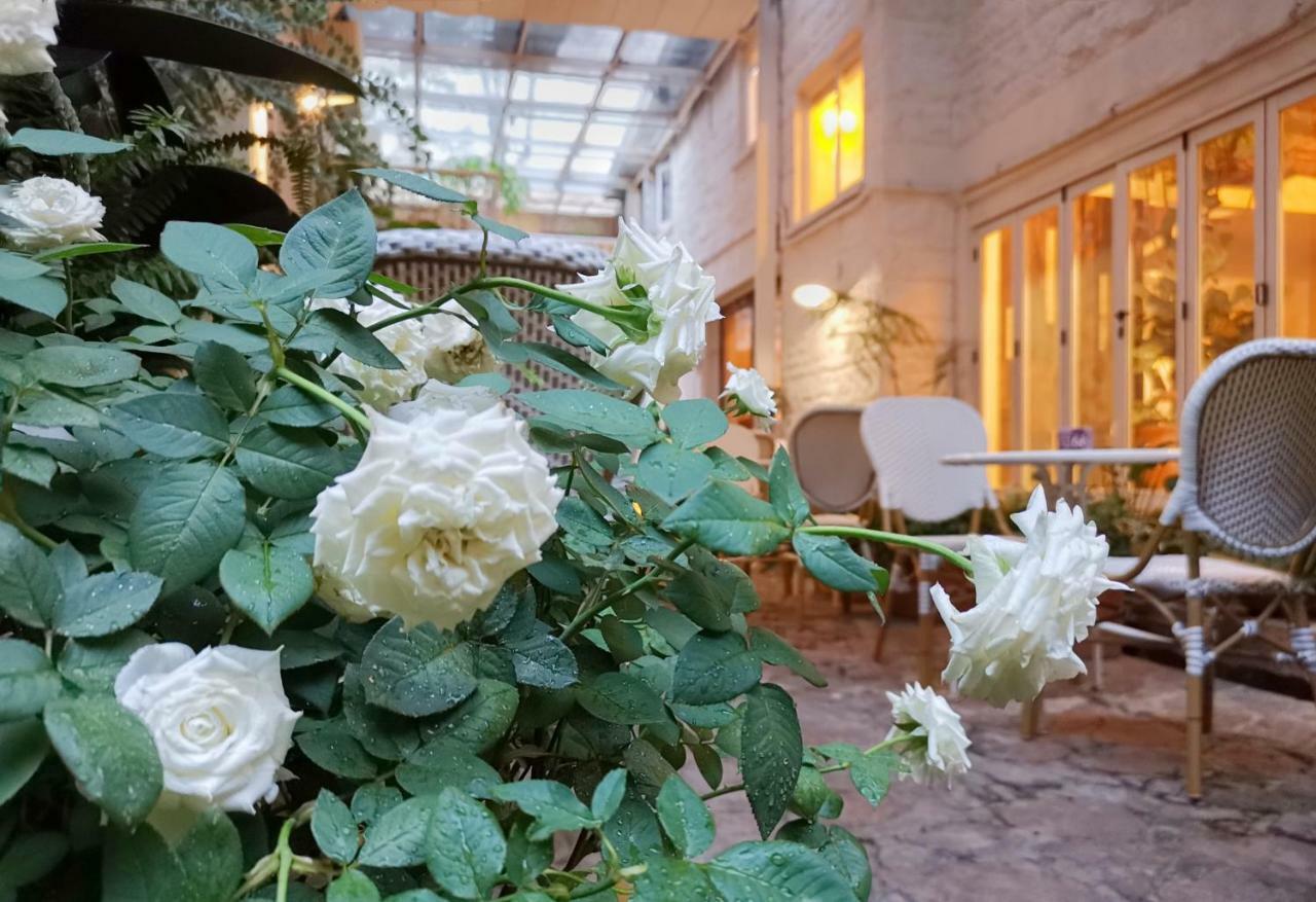 No'6 Garden --french Window With Garden View,close To Sea World &shekou Ferry Port &k11 Ecoast &subway Nearby ,offer Western Food And Coffee &english Speaking With Tour Services Hotel